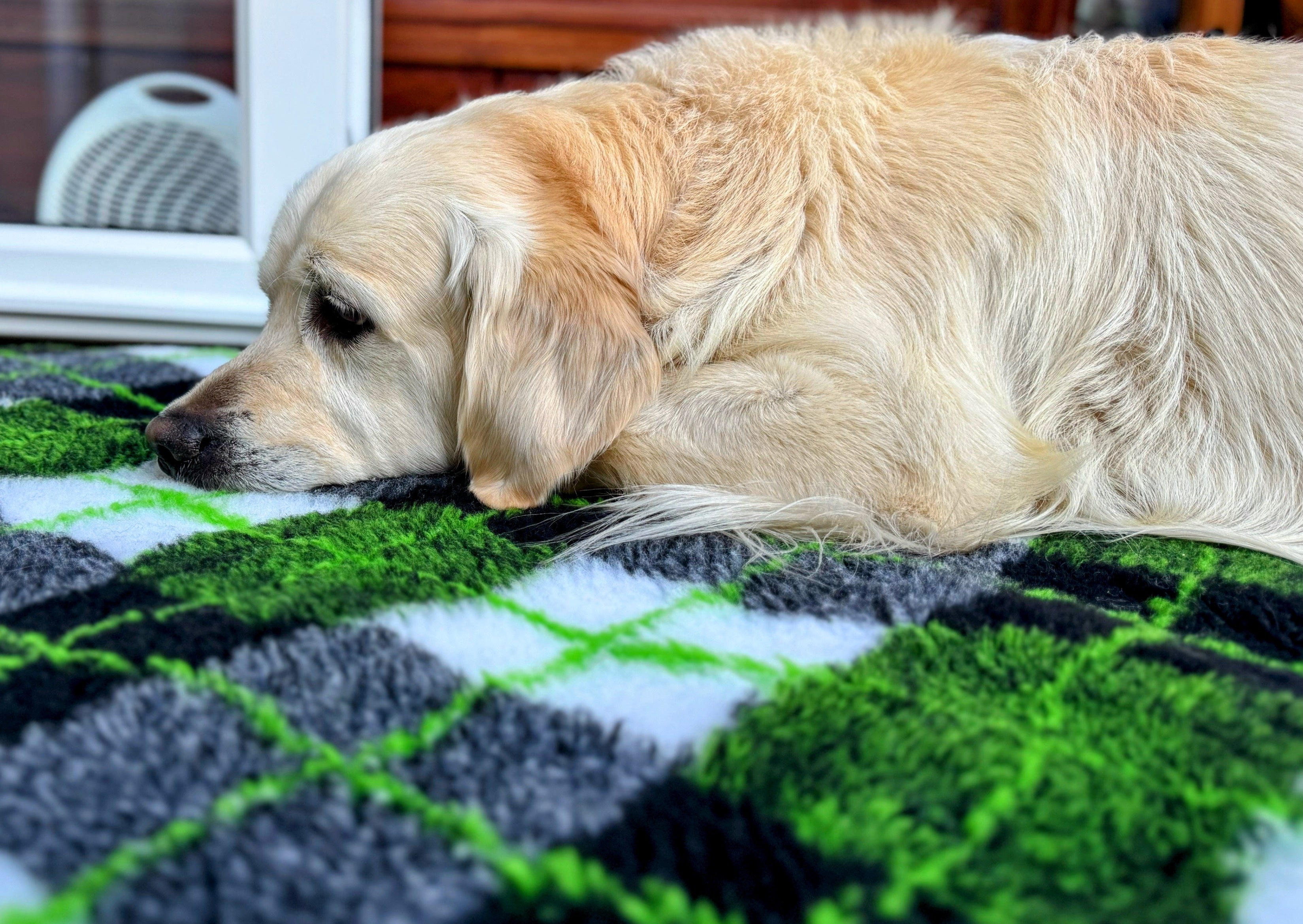 Vet Beds - Thick, Fleeced, Luxury Vet Bed in Vibrant Colours