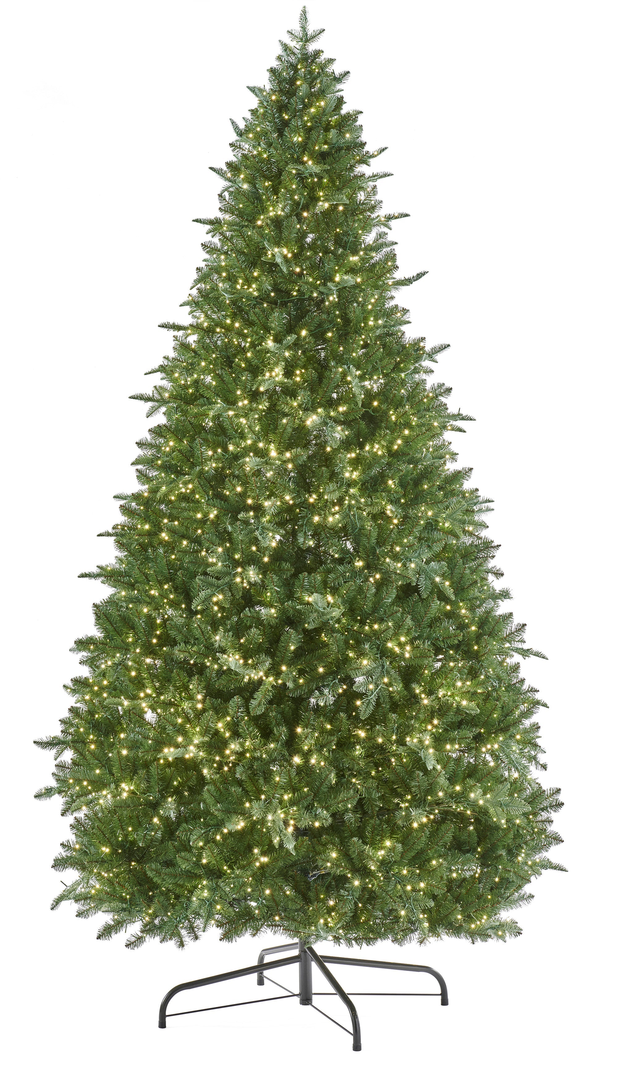 Eaton_Fir.jpg