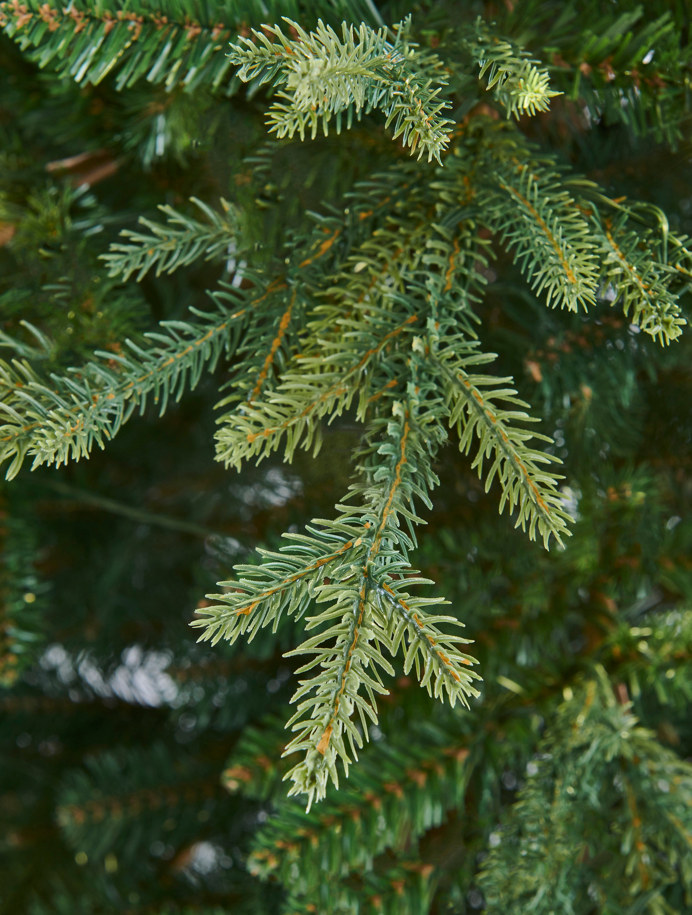 Bosk Elveden Fir Realistic Tips Artificial Christmas Tree