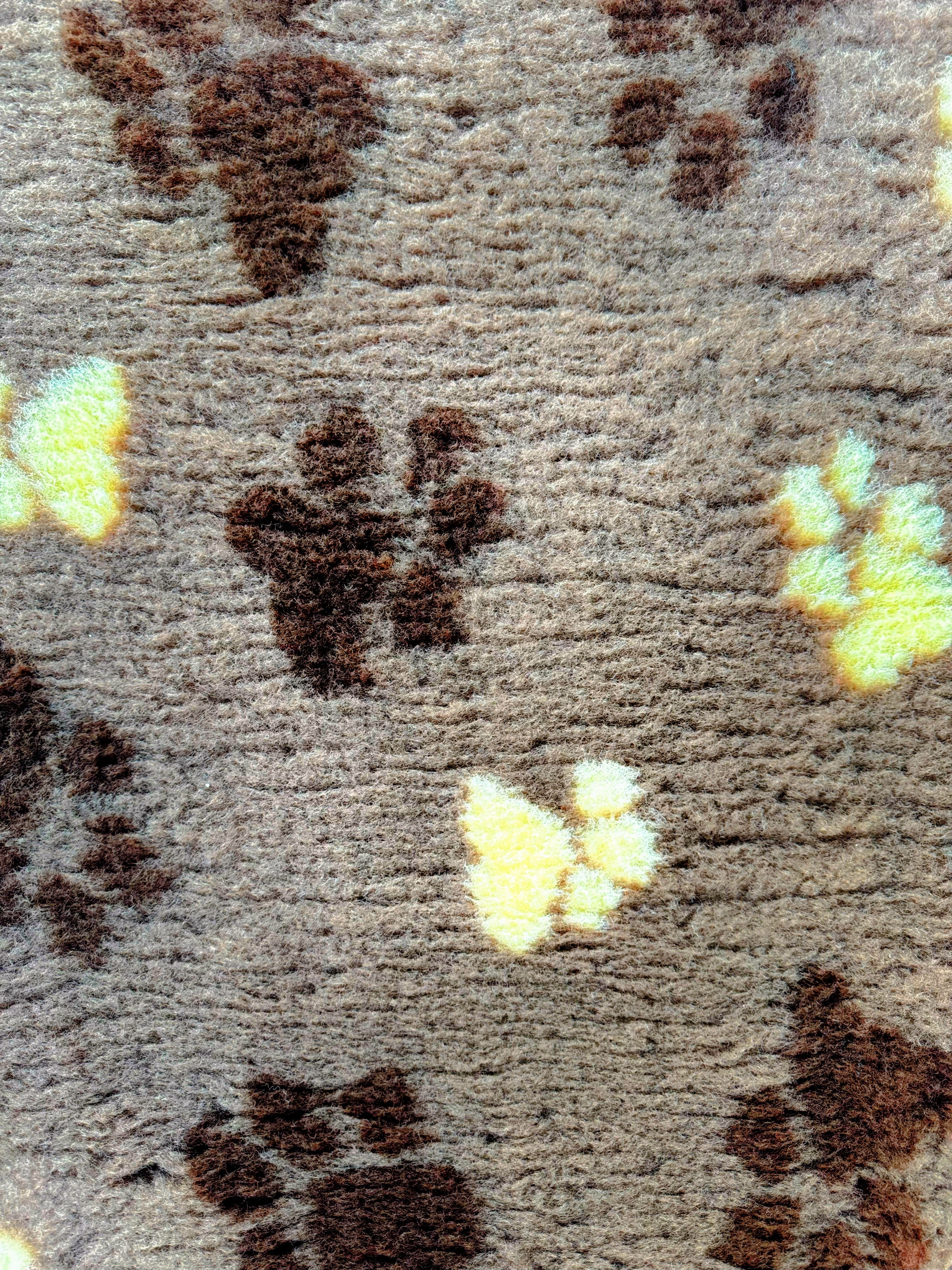 Vet Beds - Thick, Fleeced, Luxury Vet Bed in Vibrant Colours