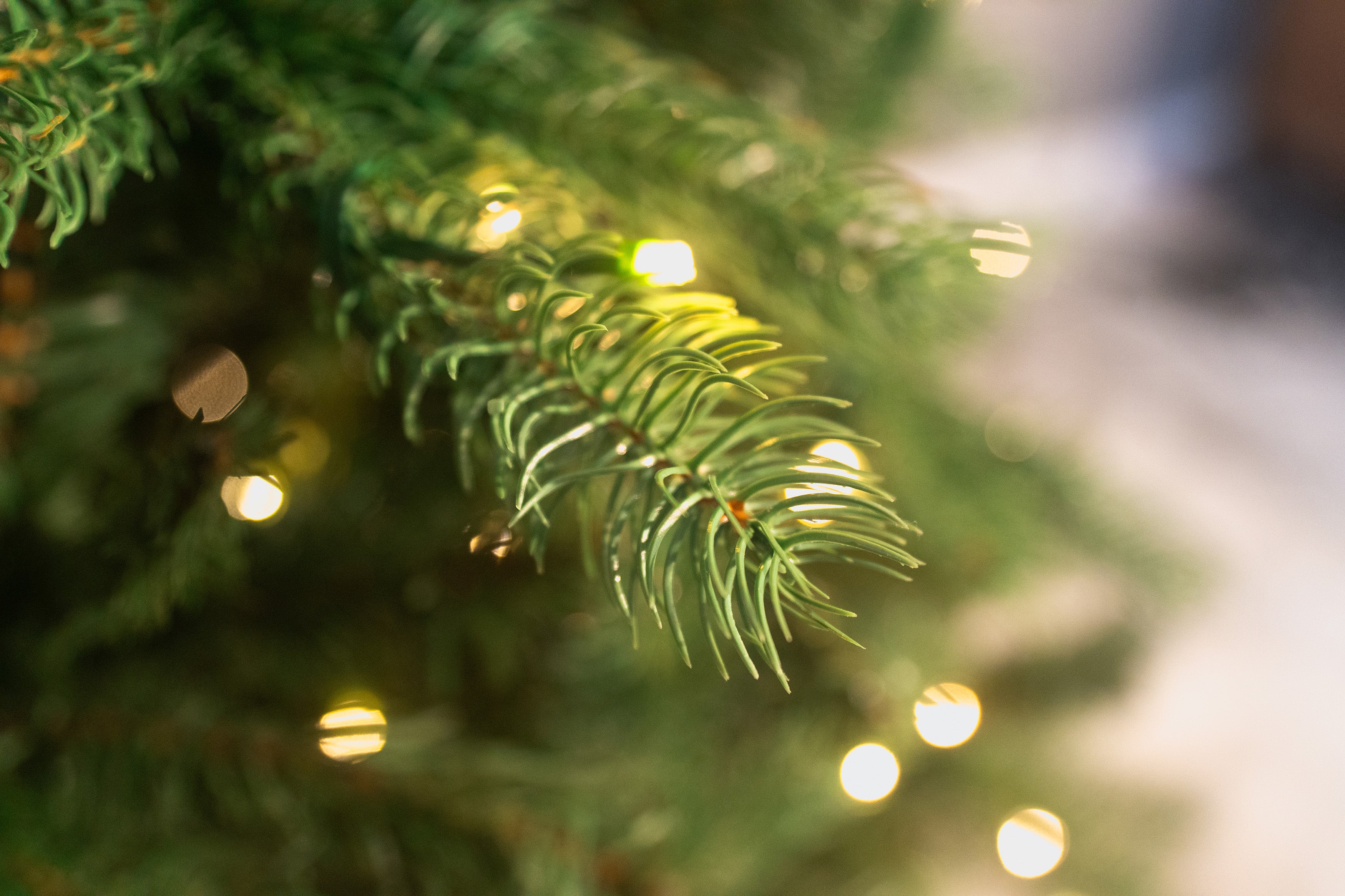 Bosk 6.5ft Pre-lit Lakeside Slim Artificial Christmas Tree with Warm White LED Lights