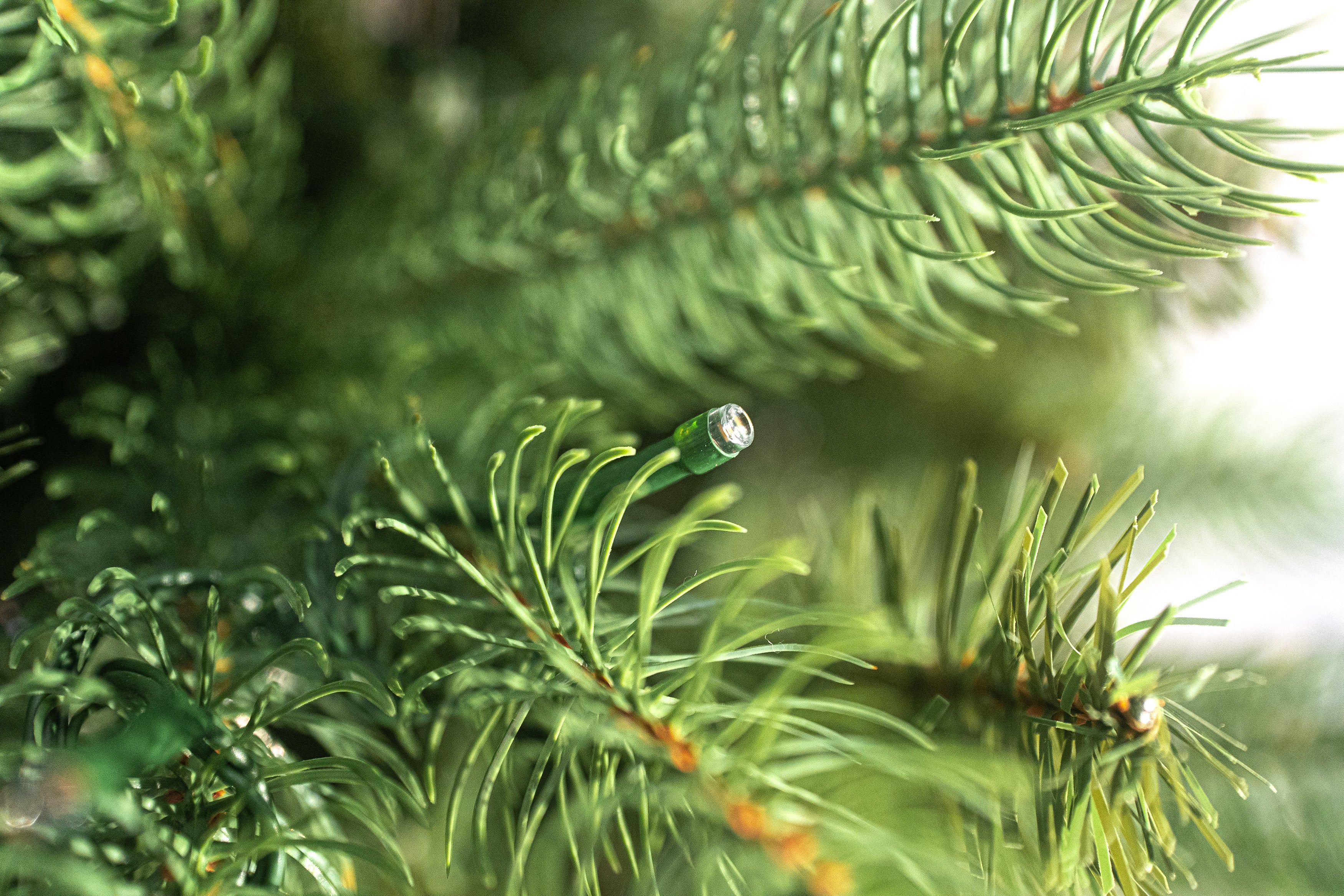 Bosk 6.5ft Pre-lit Lakeside Slim Artificial Christmas Tree with Warm White LED Lights